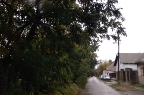 Orezivanje grana i drugog rastinja u Kozaračkoj ulici
