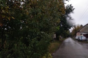 Orezivanje grana i drugog rastinja u Kozaračkoj ulici