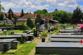 Nepokošena trava na groblju