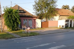 Izbledela zebra u Gajevoj
