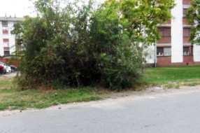 Kontejneri na trotoaru (Ulica Lasla Sekerša)