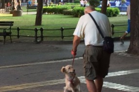 Zlostavljanje psa u centru grada