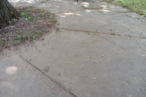 Prljavština u "parku" Opšte Bolnice