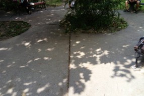 Prljavština u "parku" Opšte Bolnice