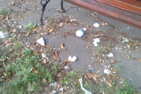 Prljavština u "parku" Opšte Bolnice