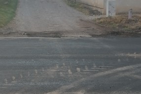 Nedovršen posao (sa asfaltiranjem) u Maloj Bosni
