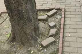 Uništene kocke u Dimitrija Tucovića