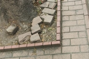 Uništene kocke u Dimitrija Tucovića