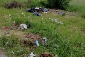 Veliki problem neredovnog odnošenja otpada na Paliću, u Vikend naselju