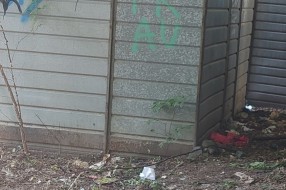 Raspadnute garaže na Radijalcu, leglo zaraze