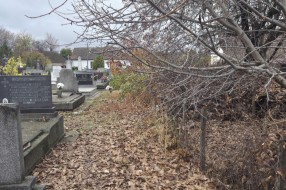 Održavanje groblja u Aleksandrovu - orezivanje granja