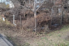 Održavanje groblja u Aleksandrovu - orezivanje granja