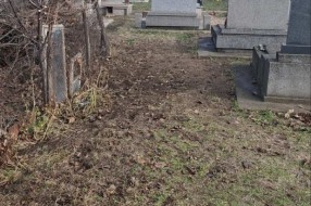 Održavanje groblja u Aleksandrovu - orezivanje granja