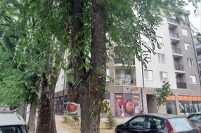 Zapušteno, zaraslo drveće na uglu ulica Zrinjskog i Frankopana i Petra Lekovića