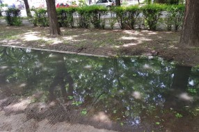 Žabokrečina i smrad na parkingu