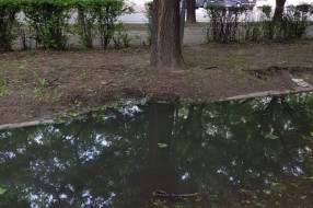Žabokrečina i smrad na parkingu