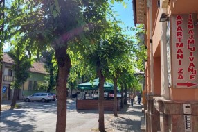 Neorezano rastinje u ulici Matije Gupca