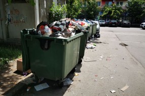 Odnošenje smeća i zaraza