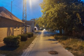 Drvo se nadvilo na Jadranskom ulicom i ometa normalan saobraćaj