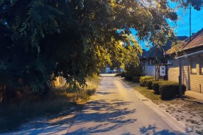Drvo se nadvilo na Jadranskom ulicom i ometa normalan saobraćaj