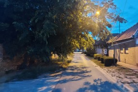 Drvo se nadvilo na Jadranskom ulicom i ometa normalan saobraćaj