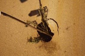 Udarna rupa na uglu Stevana Filipovića i Petra Svačića. 
