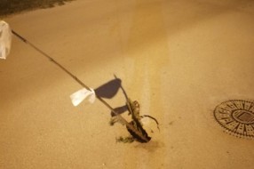 Udarna rupa na uglu Stevana Filipovića i Petra Svačića. 