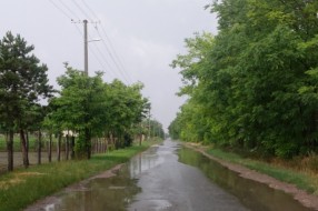 Bikovo put opasan za saobraćaj