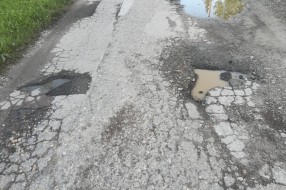 Rupe i rupetine u Leskovačkoj ulici!