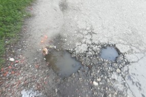 Rupe i rupetine u Leskovačkoj ulici!
