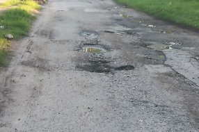 Rupe i rupetine u Leskovačkoj ulici!