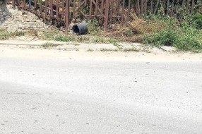 Oronuli trotoar i podvožnjak u Lošinjskoj ulici