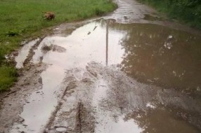 Neprohodnost Skadarlijske ulice
