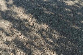 Rupe opasne po život za učesnike u saobraćaju na obilaznom putu ka Paliću