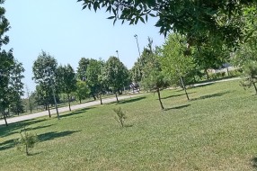 Dečje igralište na Prozivci bez hladovine