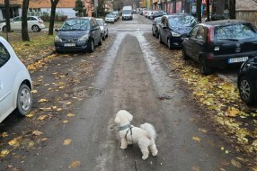 Parkiranje na pešačkoj stazi (Šolohova i raskrsnica sa Kumičićevom)