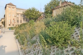 Košenje korova na rekonstruisanom podvožnjaku kod Nove opštine
