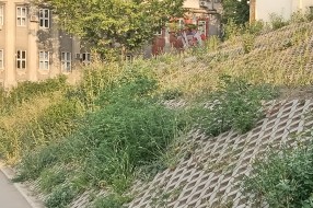 Košenje korova na rekonstruisanom podvožnjaku kod Nove opštine
