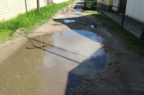 Ulica Šime Ivića - bitka za asfalt