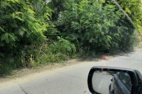 Nepregledan pružni prelaz u Srpskom šoru