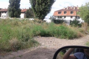Ambrozija pored Kireške