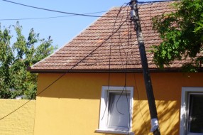 Ekspeditivnost javnih službi