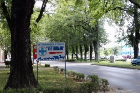 Znakovi zaklanjaju izlaz na put