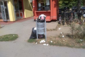 Smeće u centru Palića