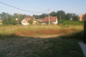 Bez ulice u 21. veku (Đeri Ferenca, Makova sedmica)