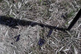 Kako se održava Senćansko groblje?