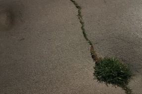 Ulegnuti asfalt u Vidovdanskoj ulici