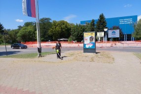 Korov na šetalištu na Radijalcu