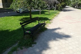 Korov na šetalištu na Radijalcu