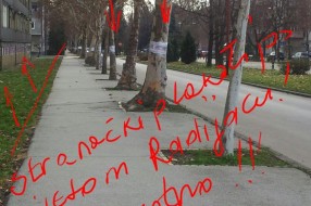 Drvo nije bilbord! (lepljenje plakata na stabla)